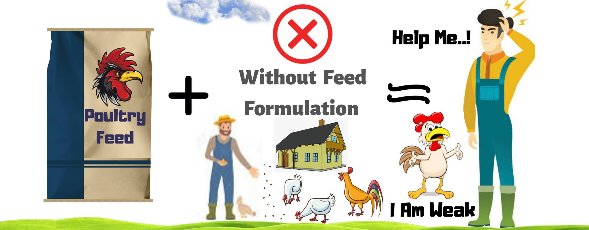 Nio Feed Formulation